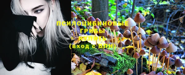 ешки Балабаново