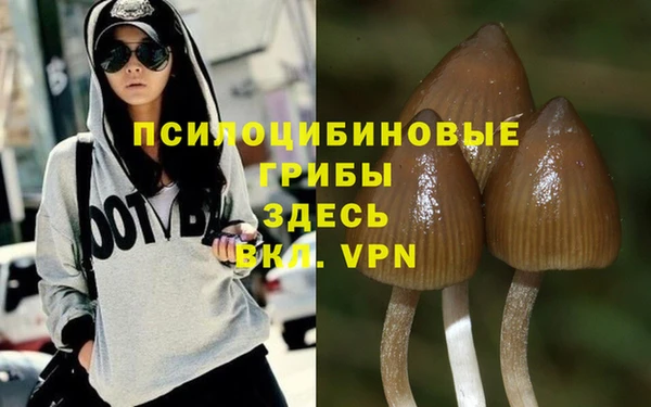 ешки Балабаново